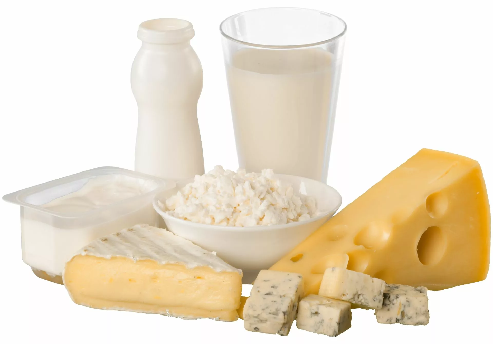 Dairy Products