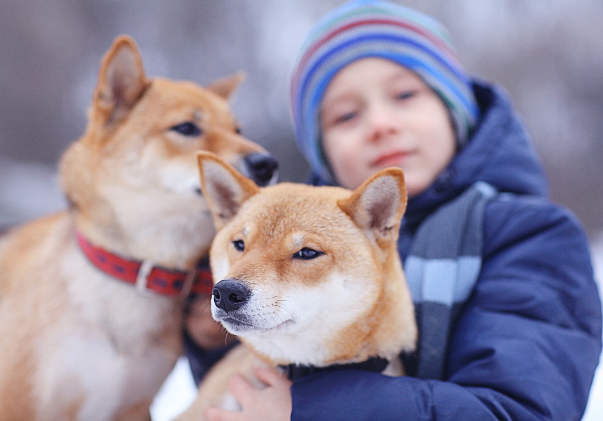 Learn About Commitment