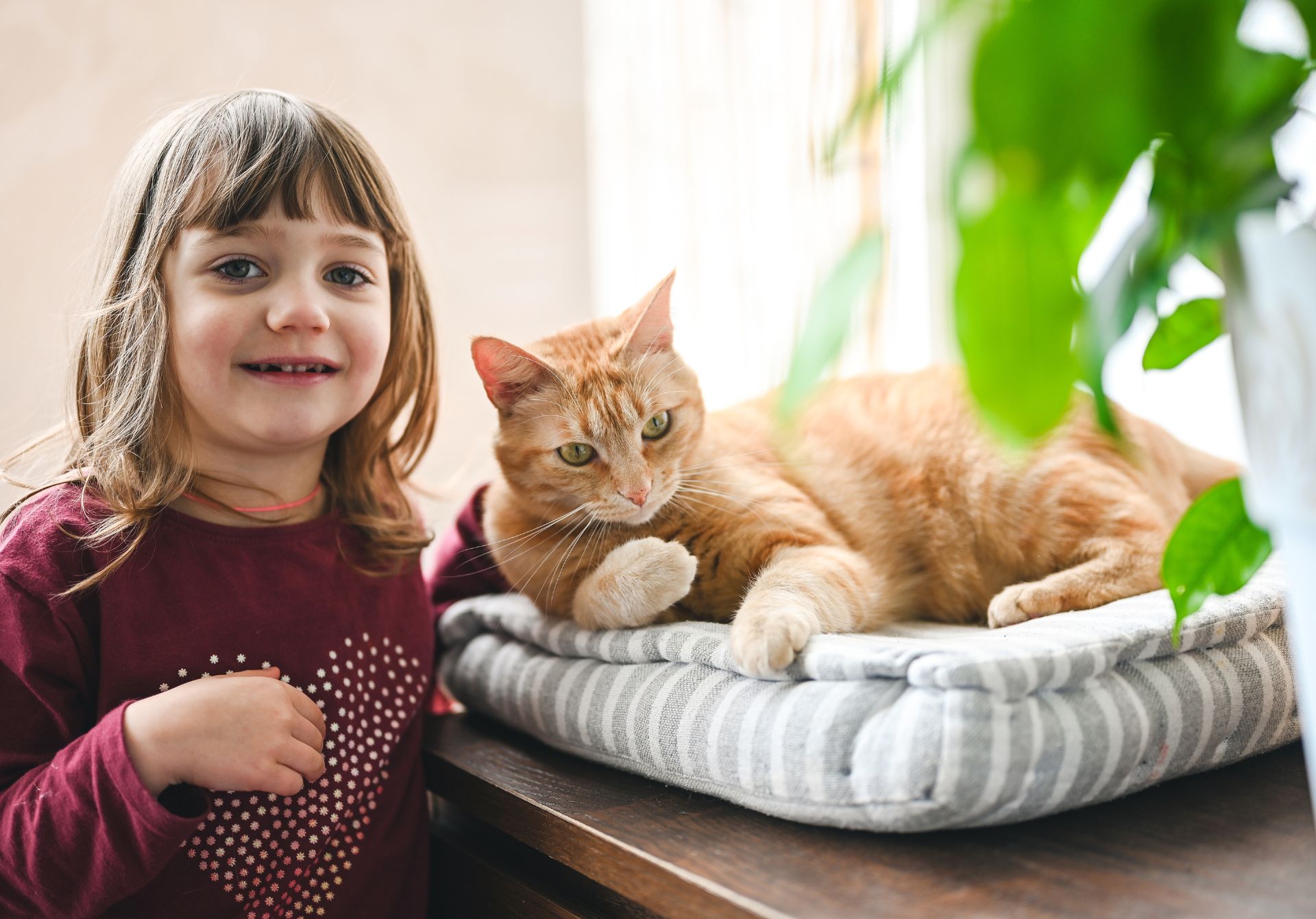 Learn About Consequences