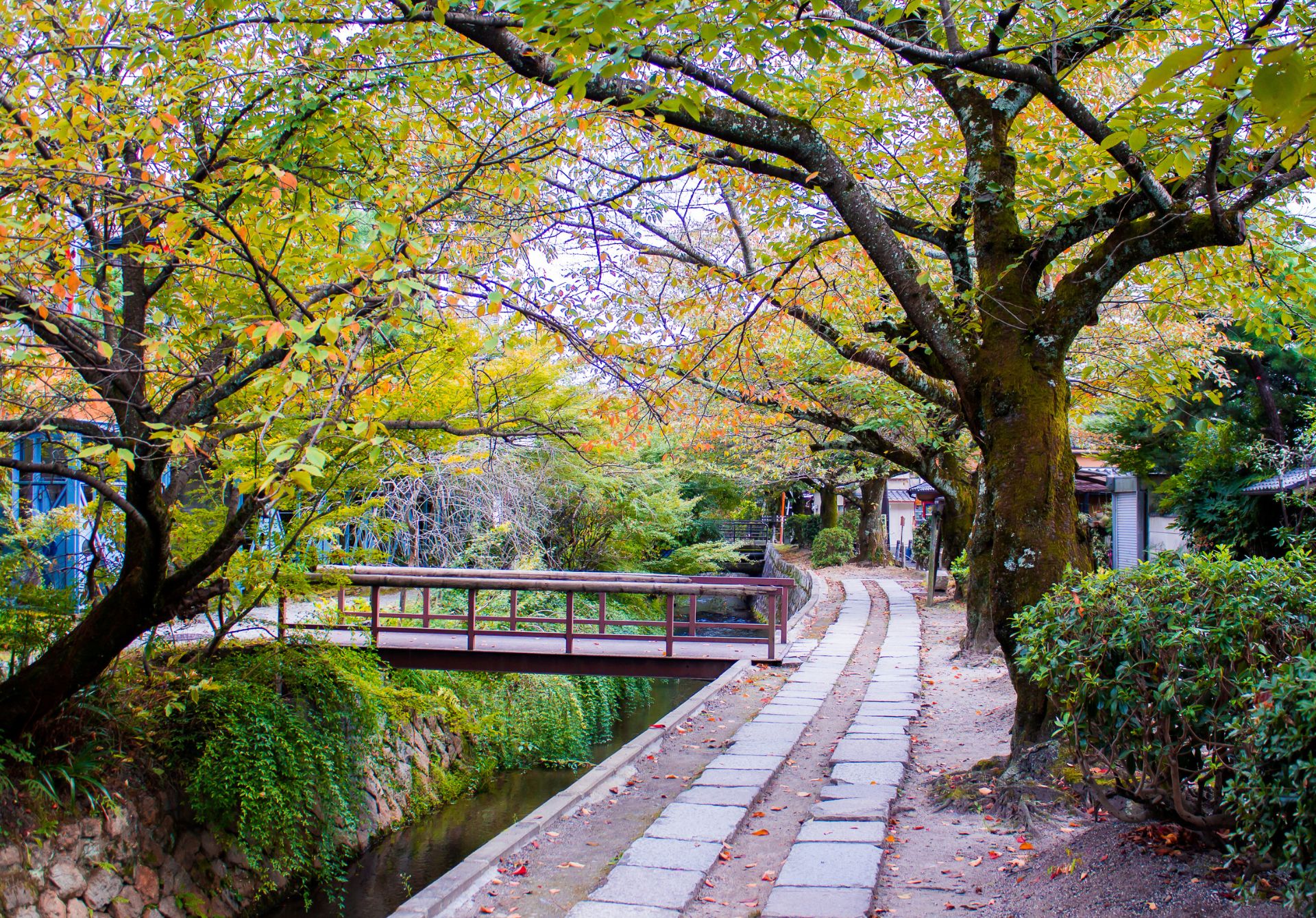 Philosopher’s Walk, Kyôto