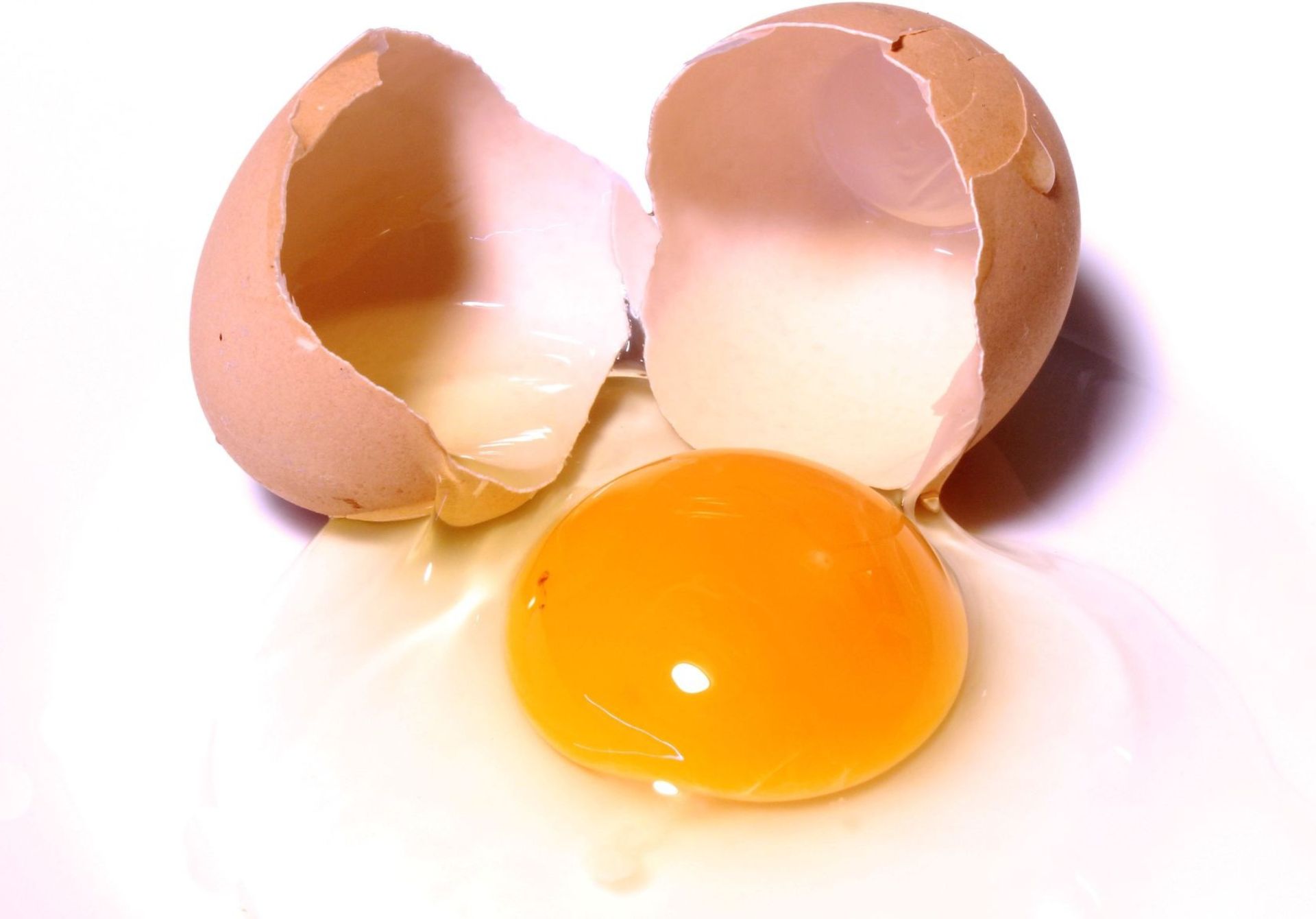 Raw Eggs