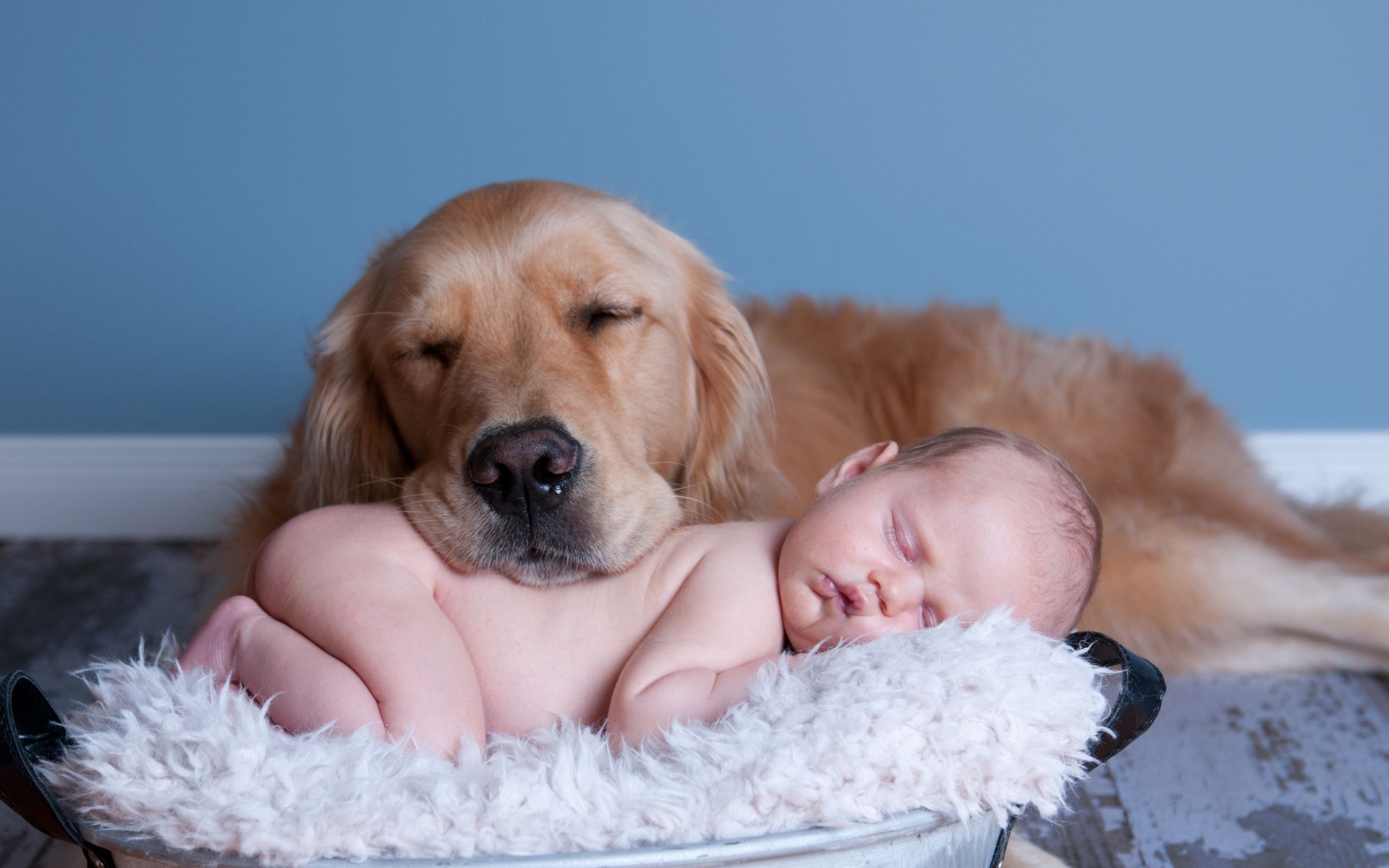 12 Tips on Introducing Your Pet to Your Newborn