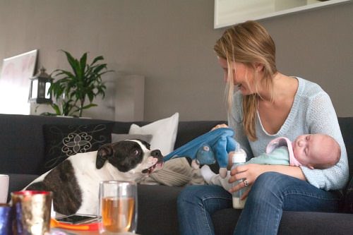 9 Tips on Introducing Your Pet to Your Newborn