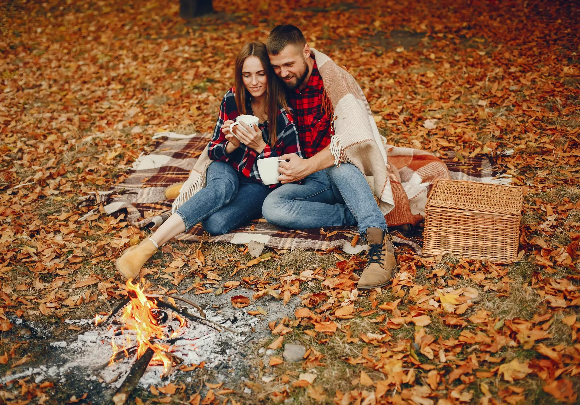 Fall picnics