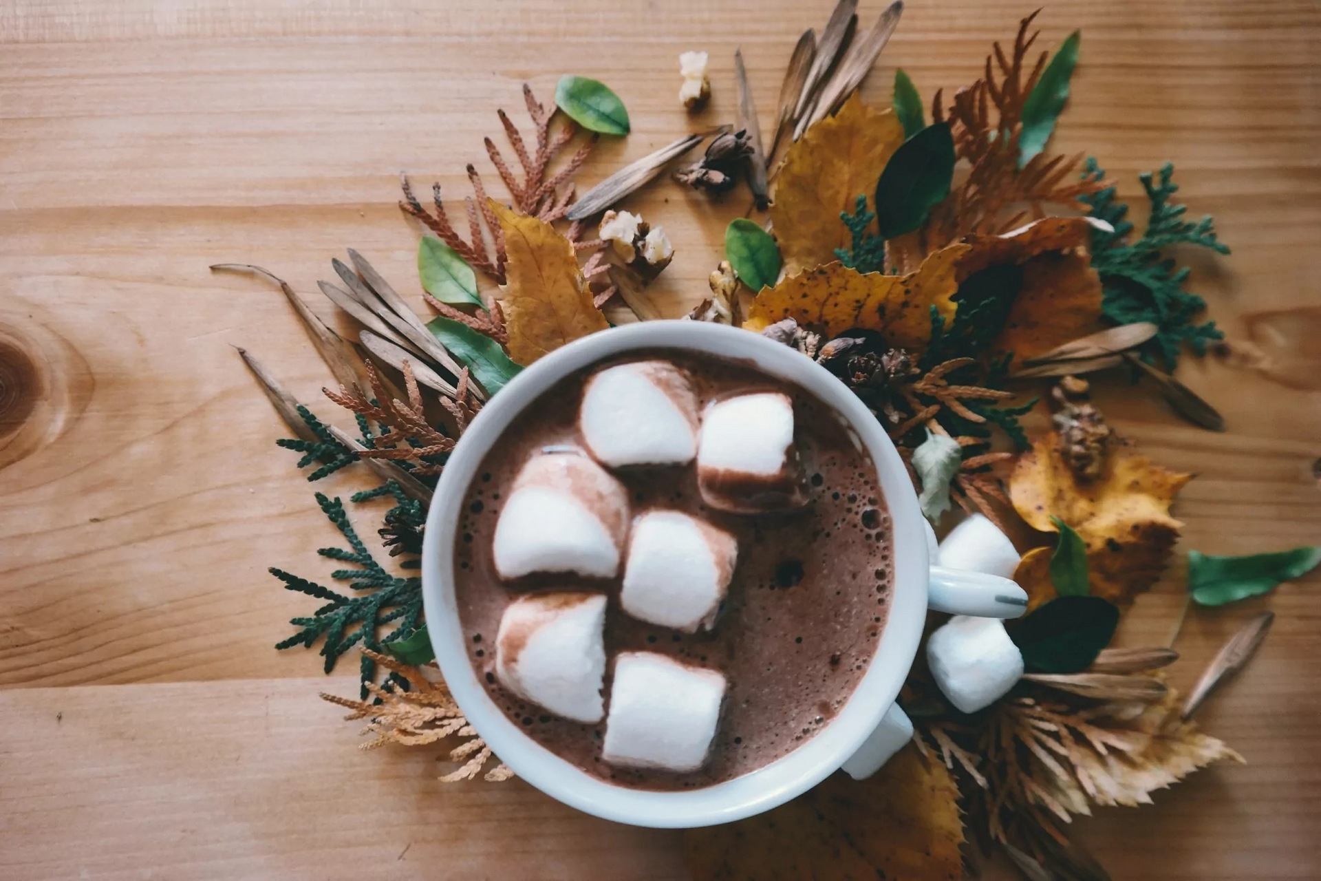 5 Healthy Reasons to Drink Hot Chocolate
