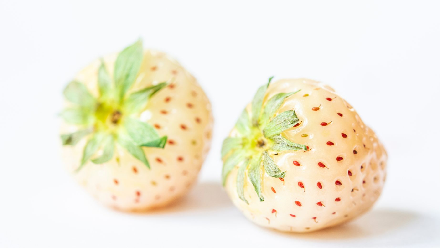 Healthy Reasons to Munch on Pineberries