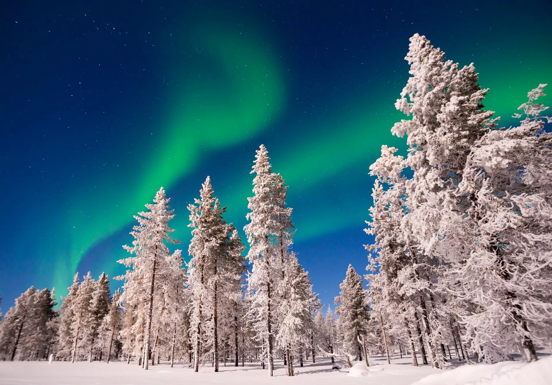 Chase the Northern Lights of Lapland