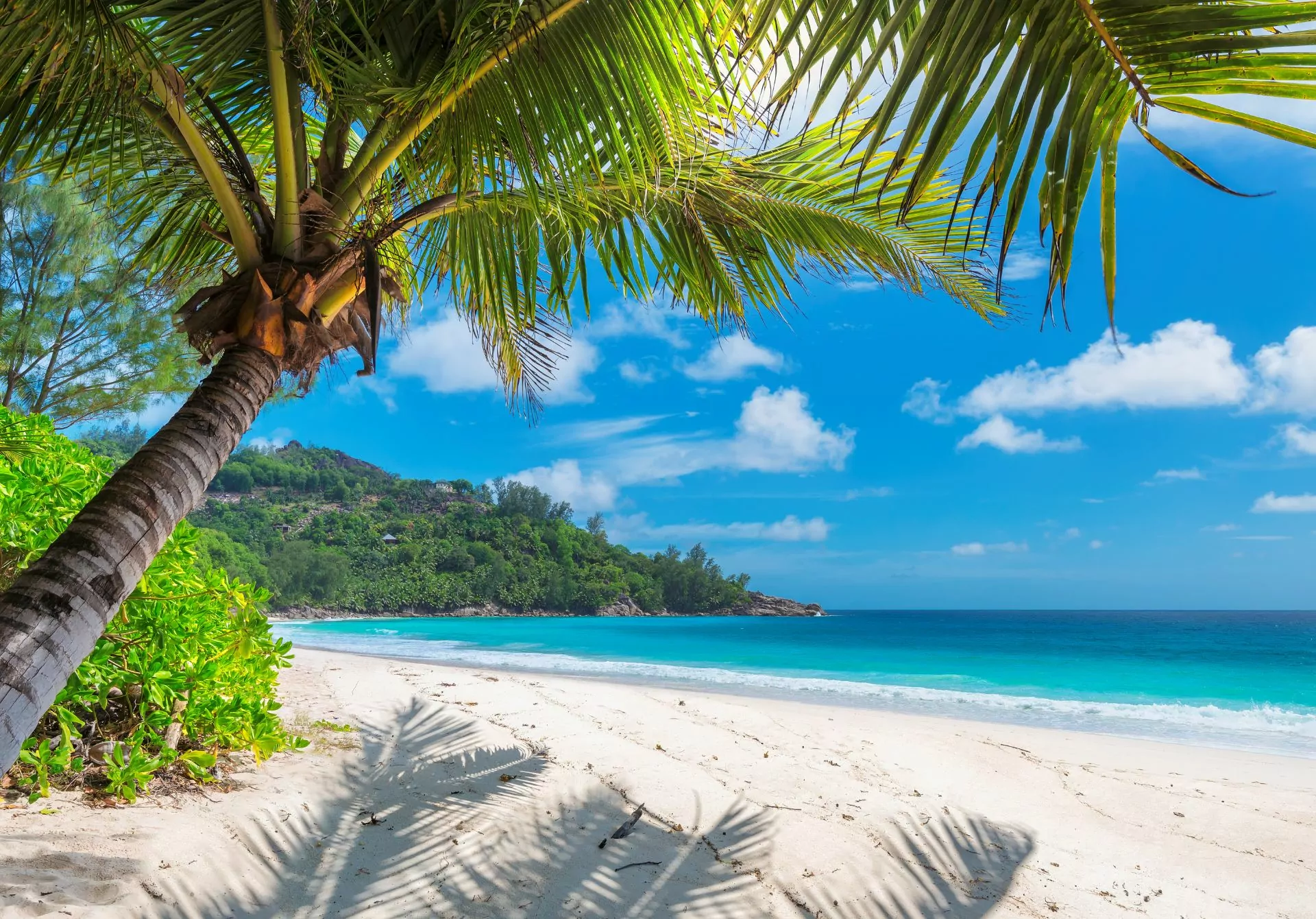 Visit the place that overflows with Hakuna matata