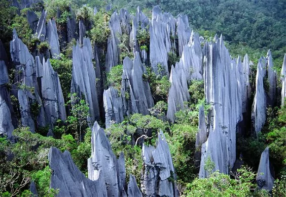 The Gunung Mulu National Park
