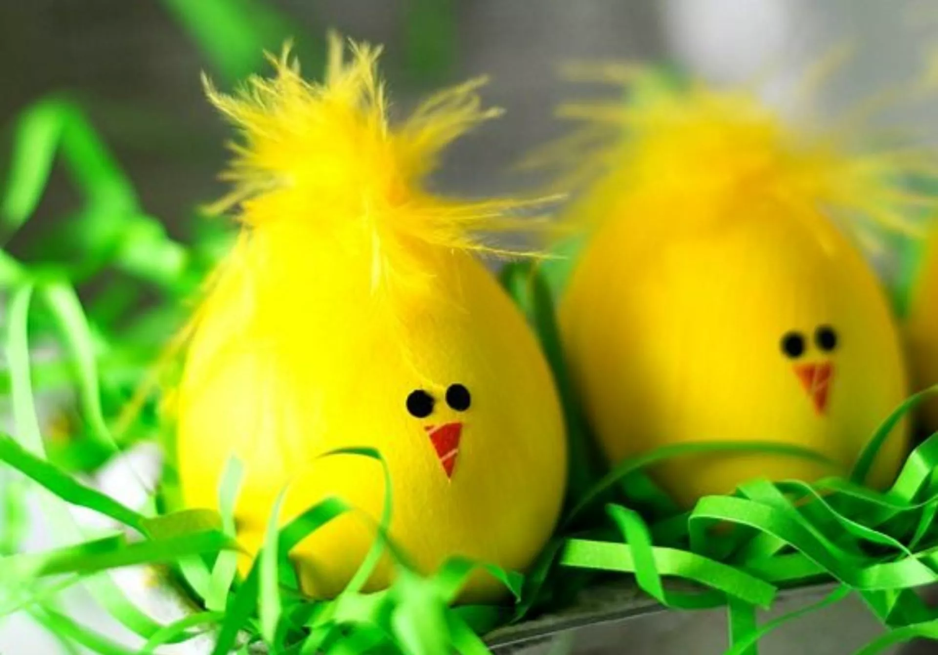 Chick Easter Eggs