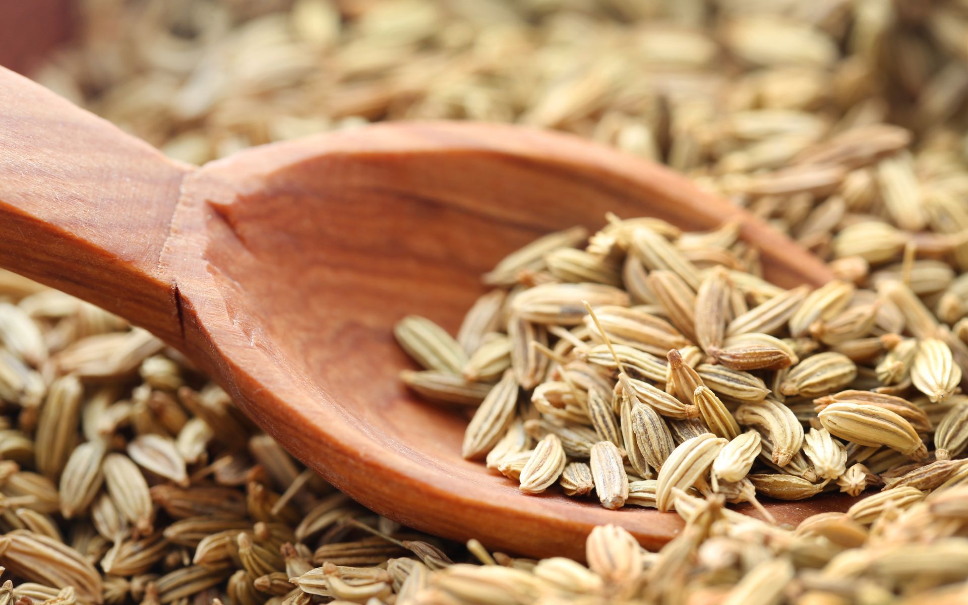Use a Fennel Seed Extract