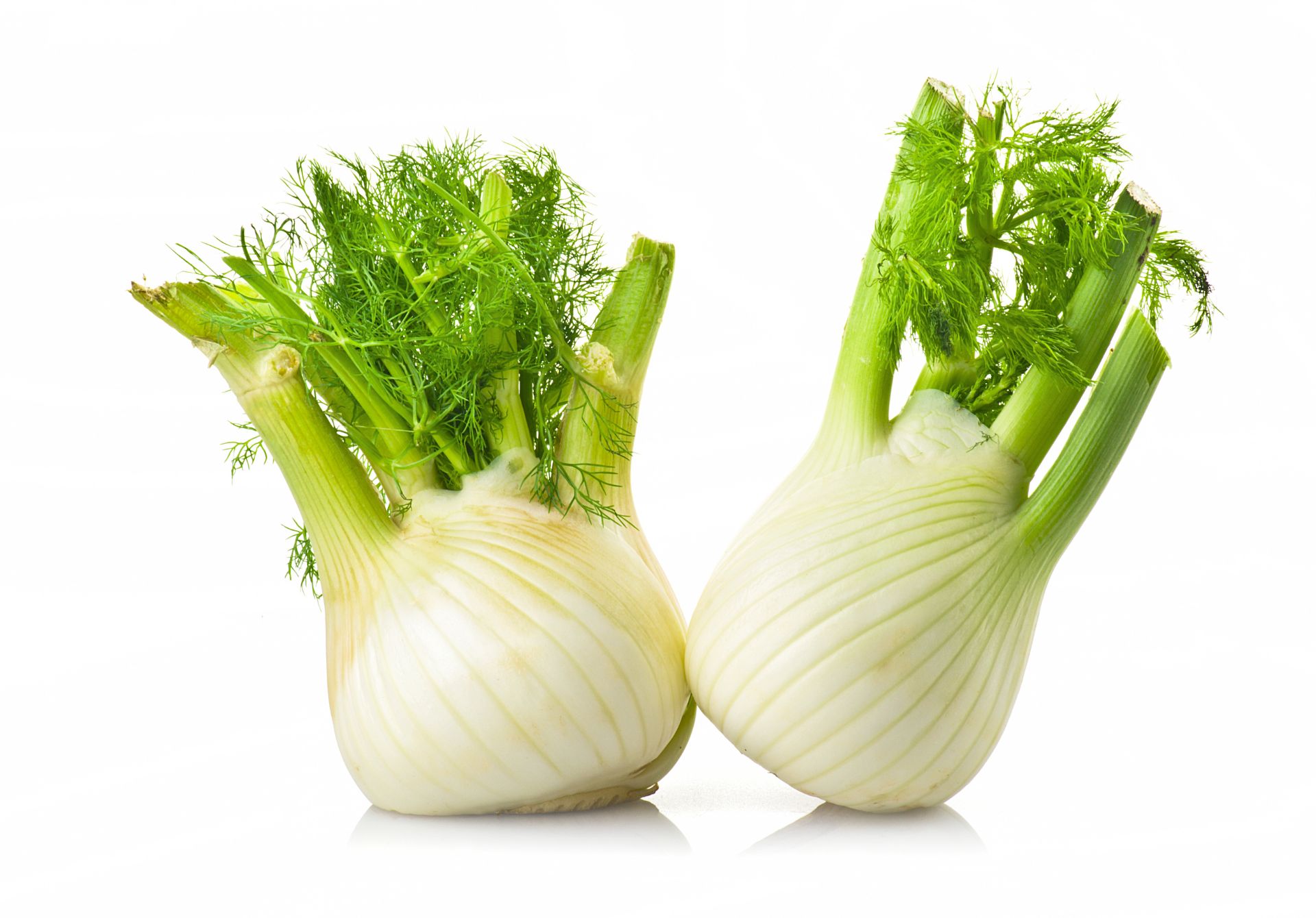 10 Health Benefits of Fennel for Your Well-Being