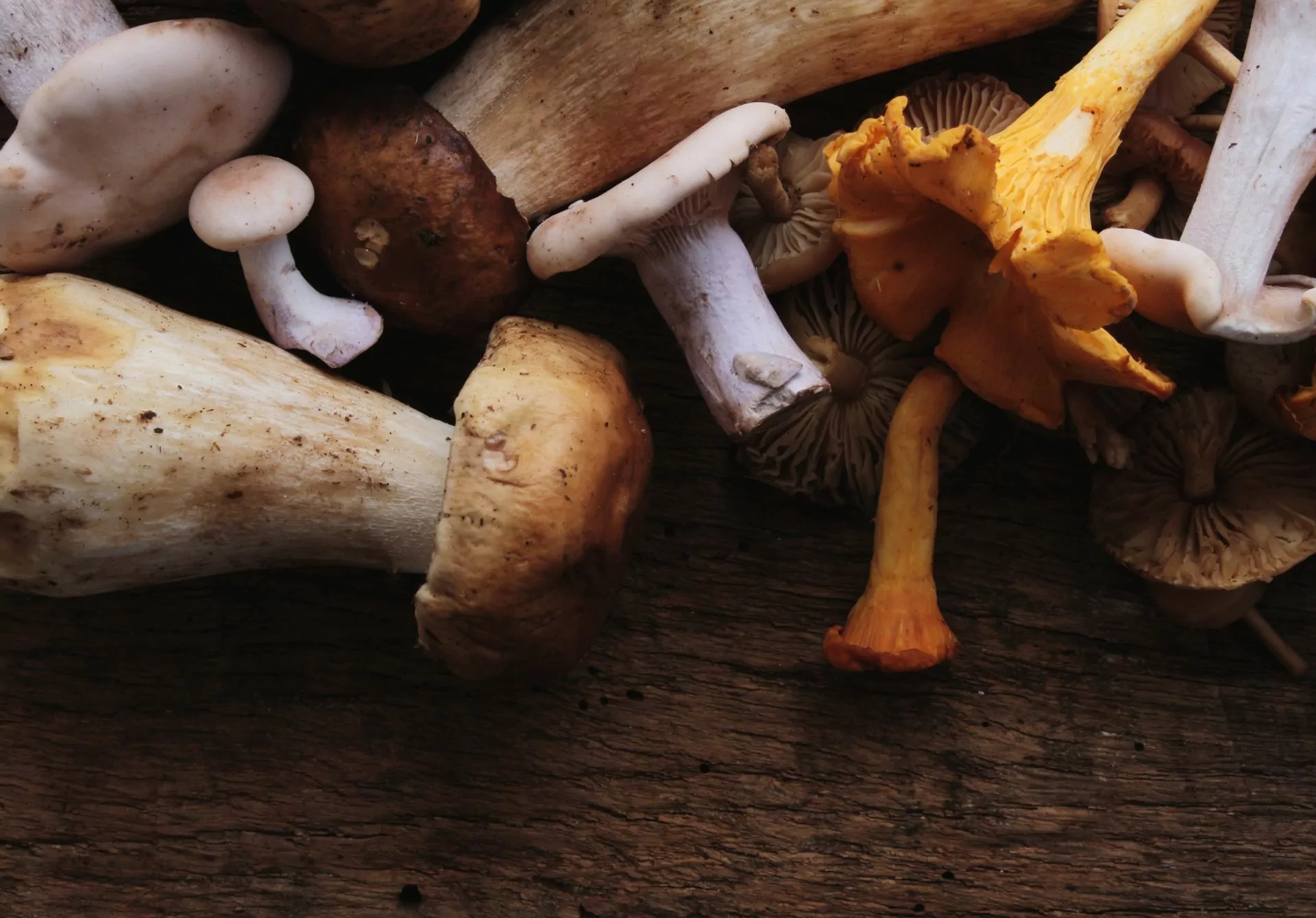 10 Health Benefits of Mushrooms You Must Know