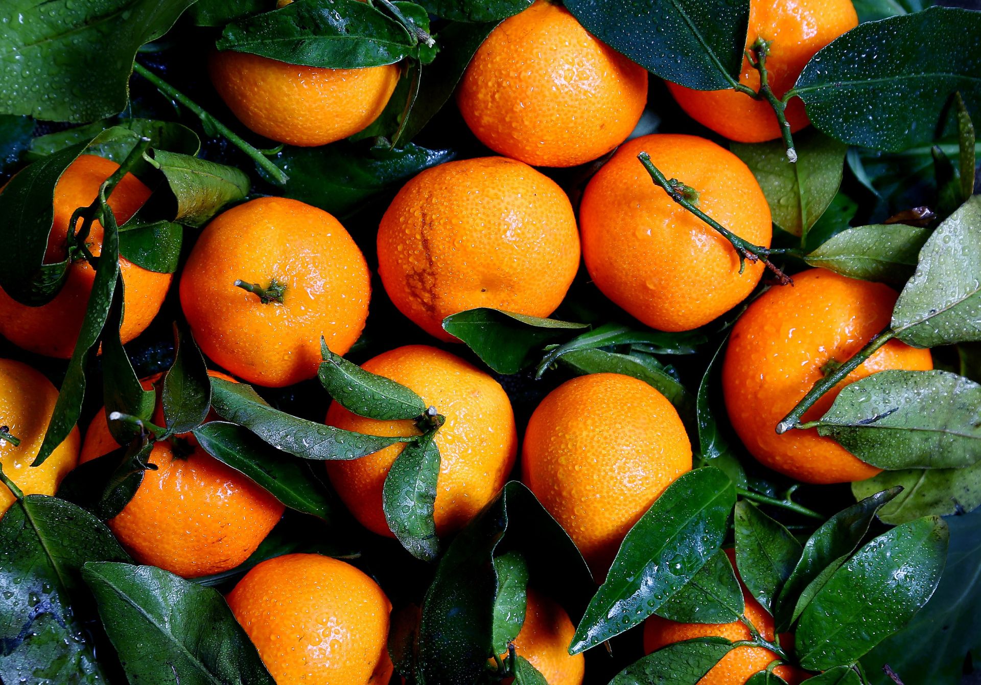 Oranges