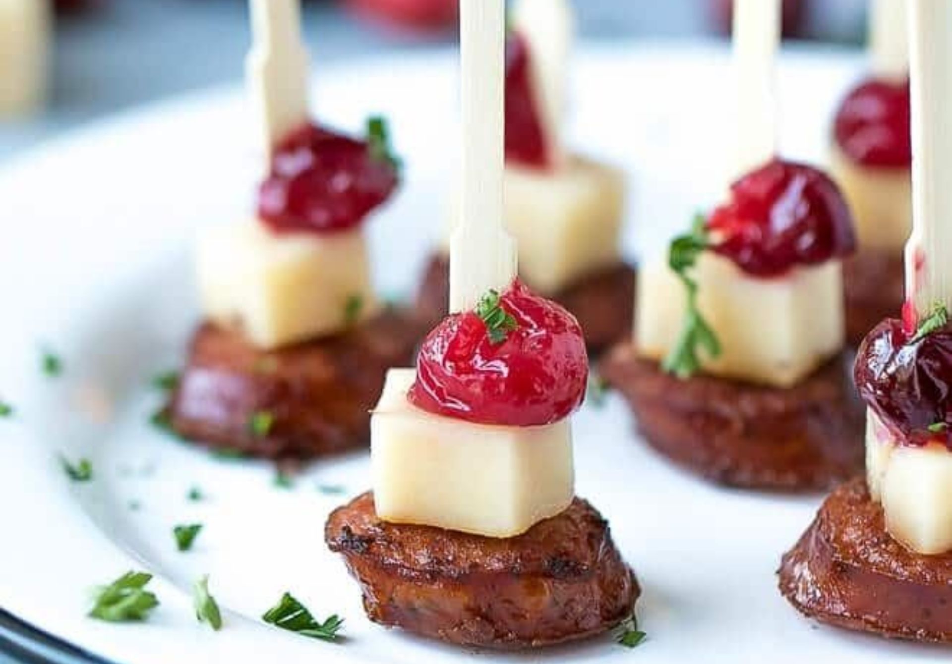 Turkey-Cranberry Bites