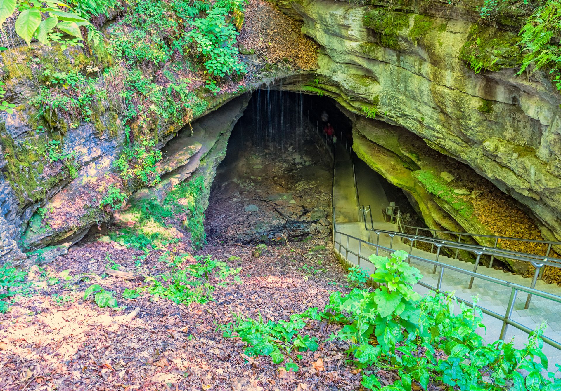 Mammoth Cave National Park
