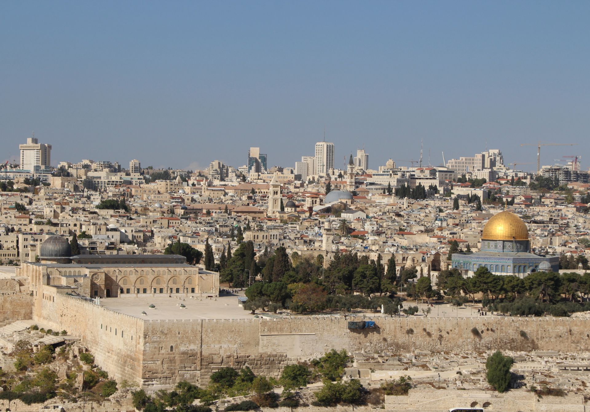 Relax at the Mount of Olives